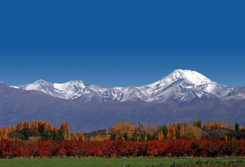 Lujan de Cuyo