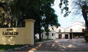 Bodega Lagarde Una Experiencia Inolvidable en Mendoza