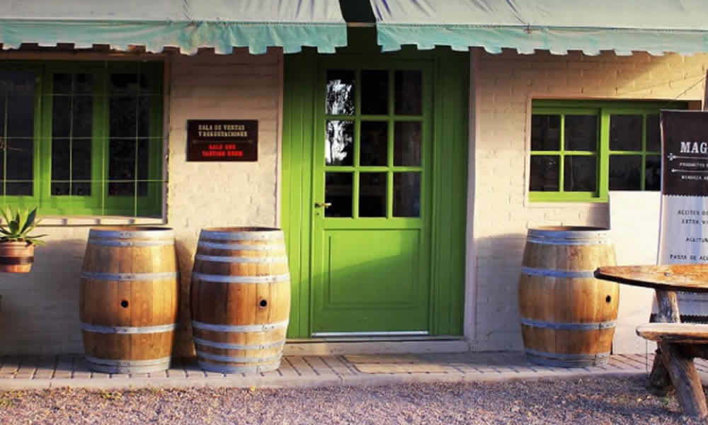 Maguay Excelencia en Aceite de Oliva y Productos Gourmet en Mendoza