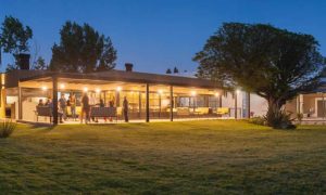 Martino Wines Una Experiencia Única en la Tierra del Malbec