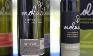 Olivícola Moluá Excelência en Aceite de Oliva y Sostenibilidad