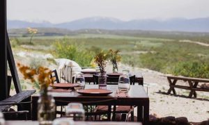 Ruda Cocina La Experiencia Gastronómica de Tupungato