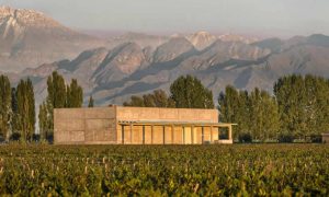 Bodega A16 Una Experiencia Sensorial Inigualable en Mendoza