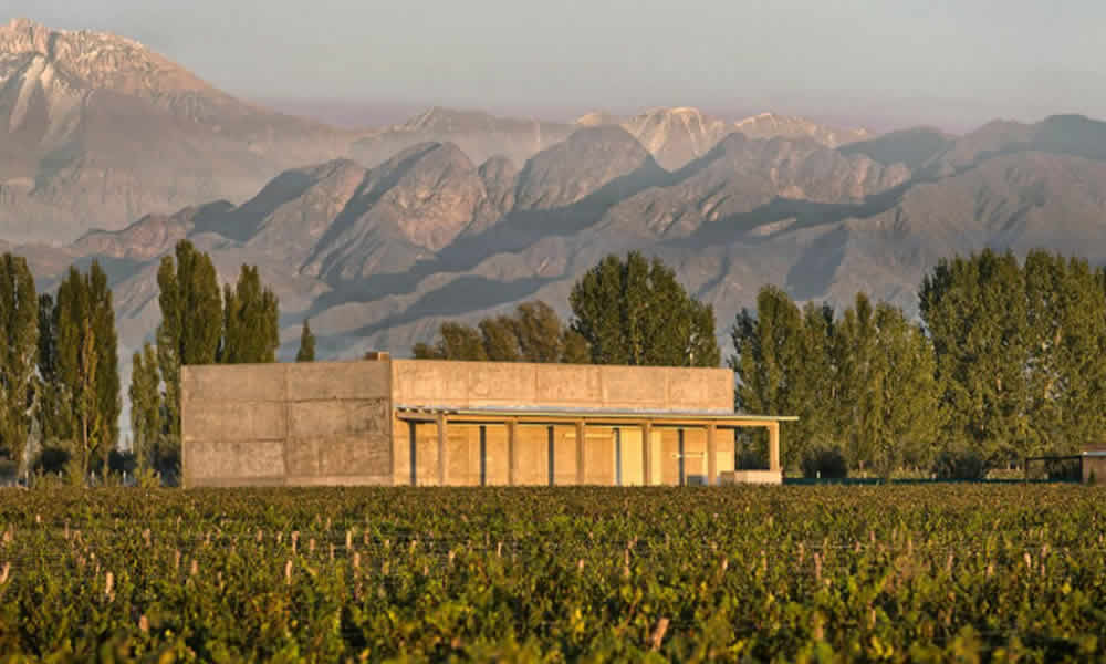 Bodega A16 Una Experiencia Sensorial Inigualable en Mendoza