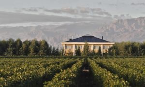 Bodega Estancia Mendoza Una Experiencia Inigualable en el Corazón de Mendoza