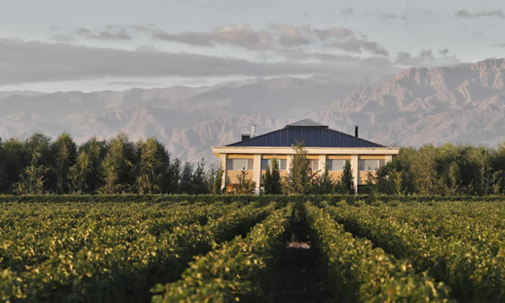 Bodega Estancia Mendoza Una Experiencia Inigualable en el Corazón de Mendoza