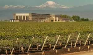 Bodega Séptima La Experiencia del Vino Argentino