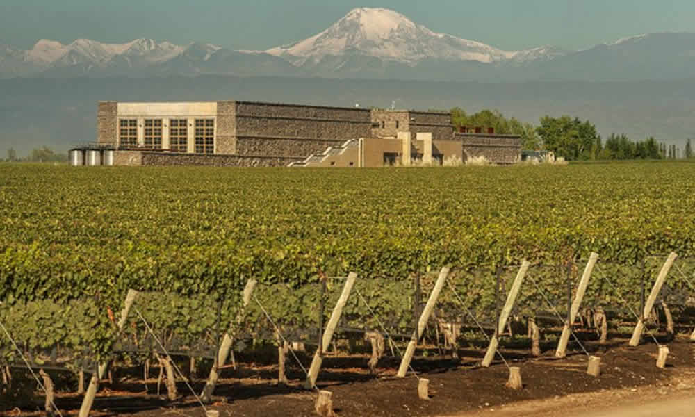 Bodega Séptima La Experiencia del Vino Argentino