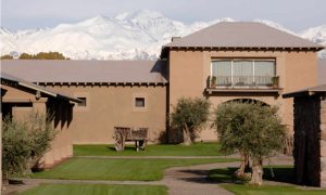 Bodega Vistalba La Esencia de los Vinos Exclusivos de Mendoza