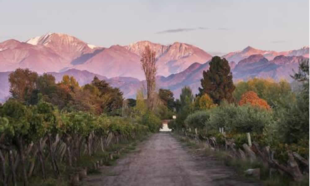 Kaiken Wines La Esencia del Vino Argentino