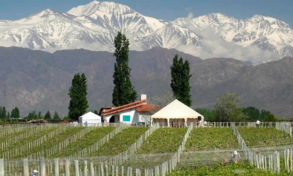 Luigi Bosca La Tradición de la Viticultura Argentina