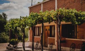 Tittarelli Wines Tradición e Innovación en la Viticultura Argentina