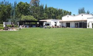 Viamonte Winery Un Viaje por el Mundo del Vino en Mendoza