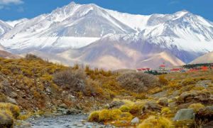 Passeios Imperdíveis em Mendoza Dicas para Aventureiros